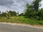 ที่ดินบ้านบึง ชลบุรี, ชลบุรี
