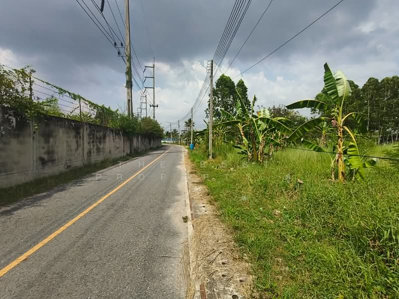 ที่ดินบ้านบึง ชลบุรี, ชลบุรี, หนองอิรุณ, บ้านบึง, ชลบุรี, 2,084 ตร.ม., ที่ดิน ขาย, โดย The Best Property ตู่, 500233968 - DDproperty.com