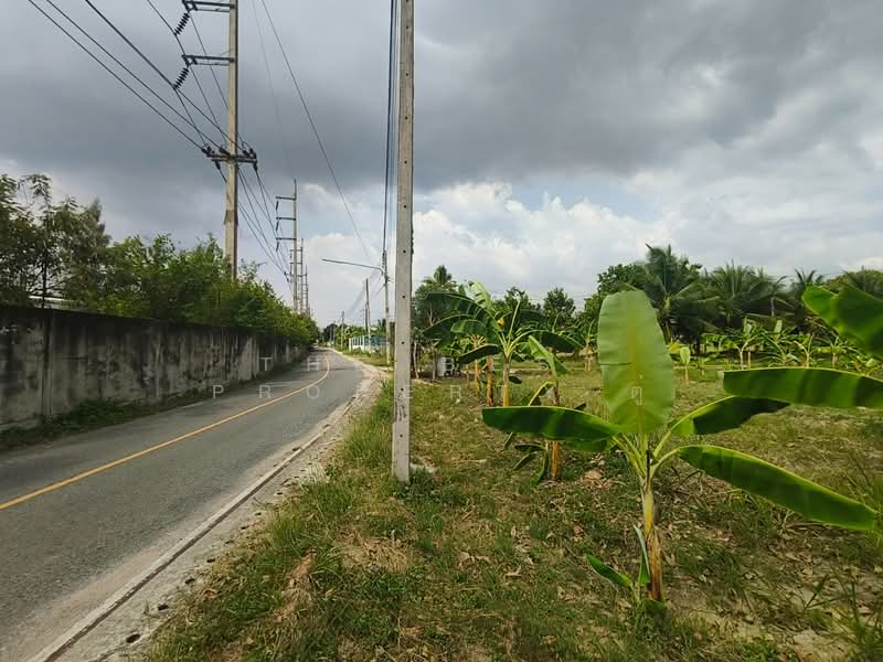 ที่ดินบ้านบึง ชลบุรี, ชลบุรี, หนองอิรุณ, บ้านบึง, ชลบุรี, 2,084 ตร.ม., ที่ดิน ขาย, โดย The Best Property ตู่, 500233968 - DDproperty.com
