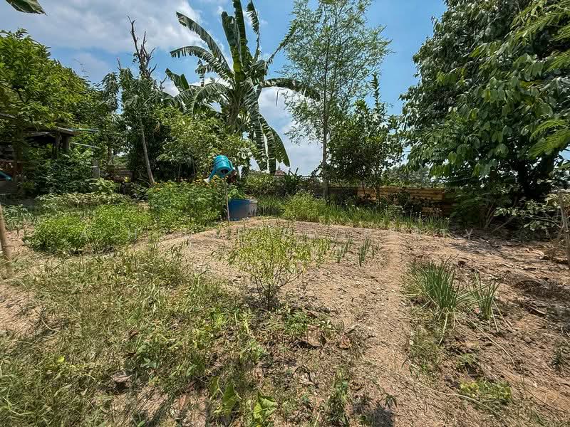 Single house for sale in Sriracha, Nong Kham. Large plot of land, pleasant atmosphere., Chon Buri (Pattaya), Nong - Kham, Si Racha, Chon Buri (Pattaya), 2 Bedrooms, 800 sqm, Single Detached House For Sale, by A House Property Co.,Ltd., 500234003 - DDproperty.com