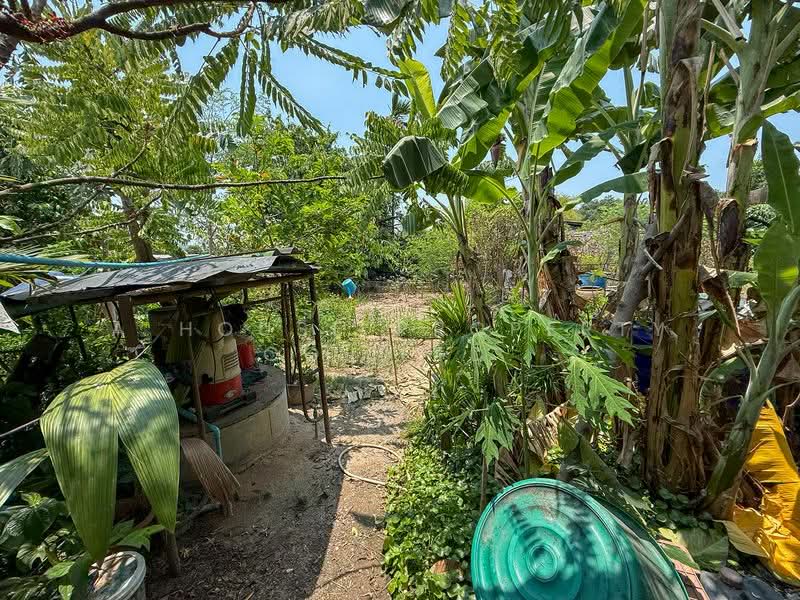 Single house for sale in Sriracha, Nong Kham. Large plot of land, pleasant atmosphere., Chon Buri (Pattaya), Nong - Kham, Si Racha, Chon Buri (Pattaya), 2 Bedrooms, 800 sqm, Single Detached House For Sale, by A House Property Co.,Ltd., 500234003 - DDproperty.com