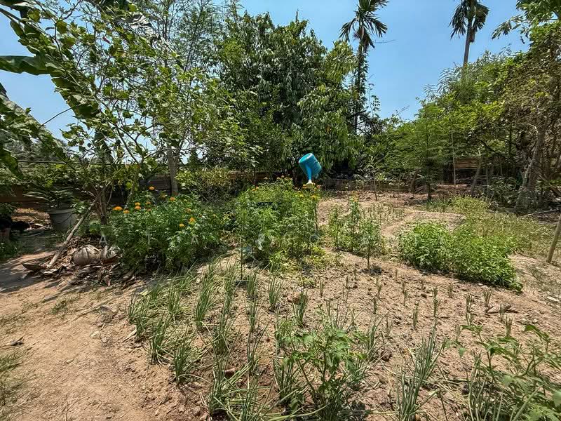 บ้านพร้อมที่ดิน ศรีราชา หนองขาม, Chon Buri (Pattaya), Nong - Kham, Si Racha, Chon Buri (Pattaya), 2 Bedrooms, 150 sqm, Single Detached House For Sale, by A.T.A. Property, 500234035 - DDproperty.com