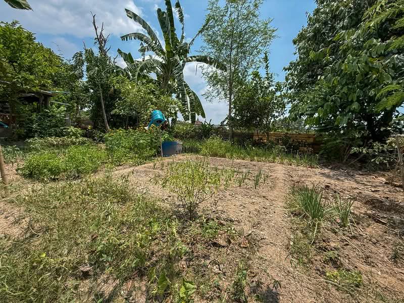 บ้านพร้อมที่ดิน ศรีราชา หนองขาม, ชลบุรี, หนองขาม, ศรีราชา, ชลบุรี, 150 ตร.ม., บ้านเดี่ยว ขาย, โดย A.T.A. Property, 500234035 - DDproperty.com