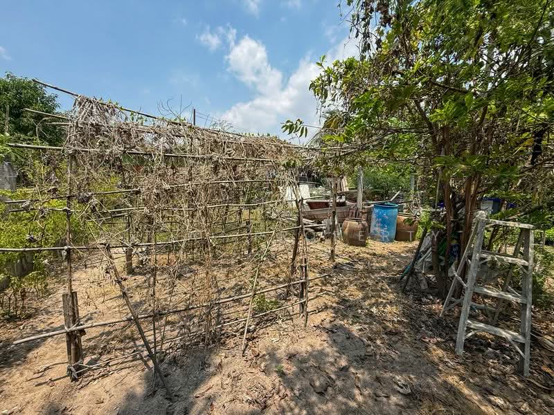 บ้านพร้อมที่ดิน ศรีราชา หนองขาม, Chon Buri (Pattaya), Nong - Kham, Si Racha, Chon Buri (Pattaya), 2 Bedrooms, 150 sqm, Single Detached House For Sale, by A.T.A. Property, 500234035 - DDproperty.com