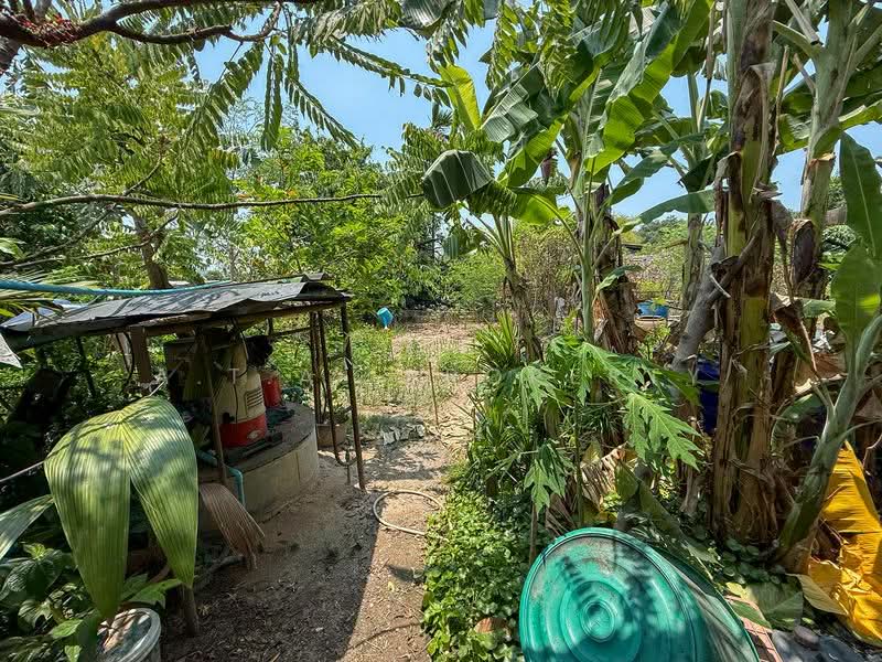 บ้านพร้อมที่ดิน ศรีราชา หนองขาม, ชลบุรี, หนองขาม, ศรีราชา, ชลบุรี, 150 ตร.ม., บ้านเดี่ยว ขาย, โดย A.T.A. Property, 500234035 - DDproperty.com