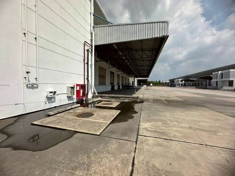 ให้เช่าโกดัง/คลังสินค้า ผังม่วง 5310 ตรม.ใกล้มอเตอร์เวย์ หนองขาม ศรีราชา, ชลบุรี, สุรศักดิ์, ศรีราชา, ชลบุรี, 5,310 ตร.ม., โกดัง-โรงงาน ให้เช่า, โดย ดุสิต แสงฟ้า, 500234037 - DDproperty.com