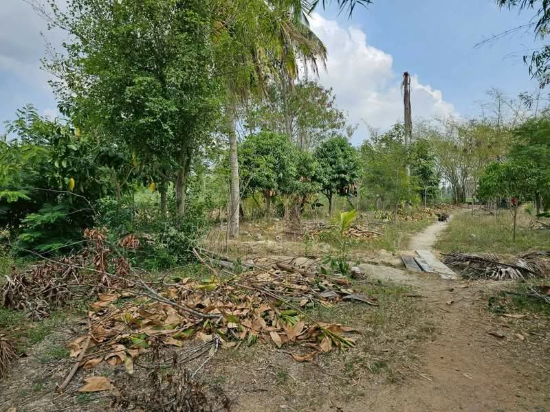 For Sale - ที่ดินบางละมุง ชลบุรี, Chon Buri (Pattaya)