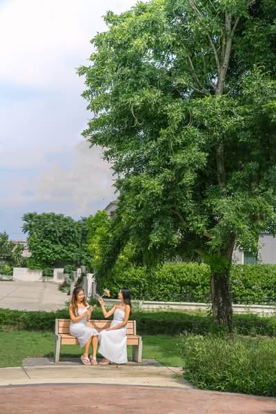 เดอะ แพลนท์ กาญจนา-บางใหญ่ The Plant Kanchana-Bangyai, นนทบุรี, (Soi Wat Lat Pla Duk, บางรักใหญ่, บางบัวทอง, นนทบุรี, 137 ตร.ม., บ้านเดี่ยว ขาย, โดย ชาลฤทัย, 500234059 - DDproperty.com