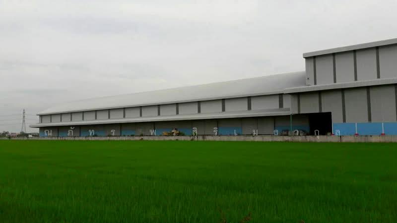 คลังสินค้าสร้างใหม่ให้เช่า 8,000ตรม. ไทรน้อย นนทบุรี (TW8-12226), นนทบุรี, ไทรน้อย, ไทรน้อย, นนทบุรี, 8,000 ตร.ม., โกดัง-โรงงาน ให้เช่า, โดย ณภัทร พรสิริเมธากุล, 500234061 - DDproperty.com