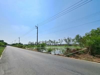 ขาย - ที่ดินพุทธมณฑล นครปฐม, นครปฐม