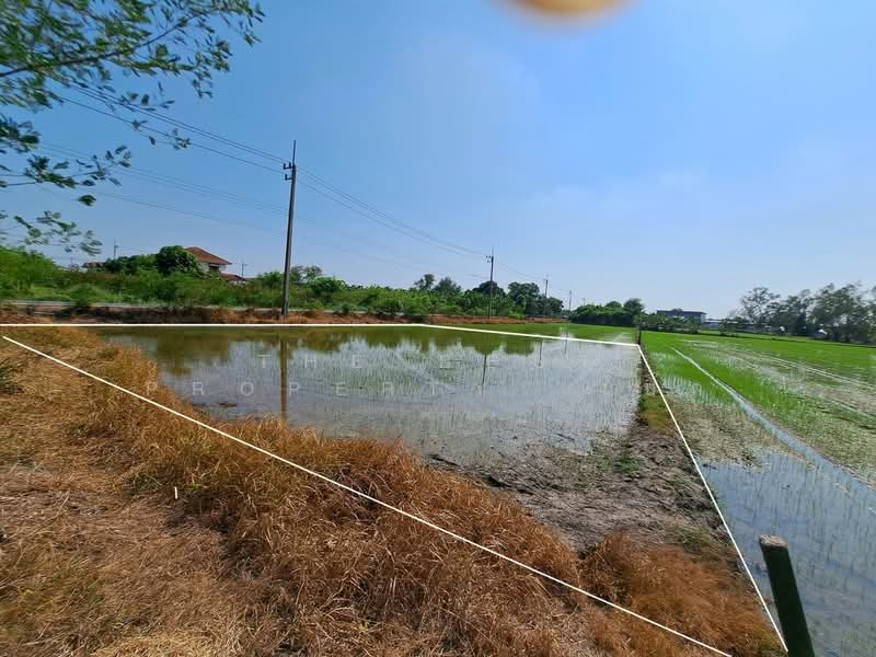 For Sale - ที่ดินพุทธมณฑล นครปฐม, Nakhon Pathom