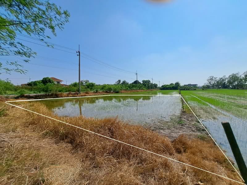 For Sale - ที่ดินพุทธมณฑล นครปฐม, Nakhon Pathom