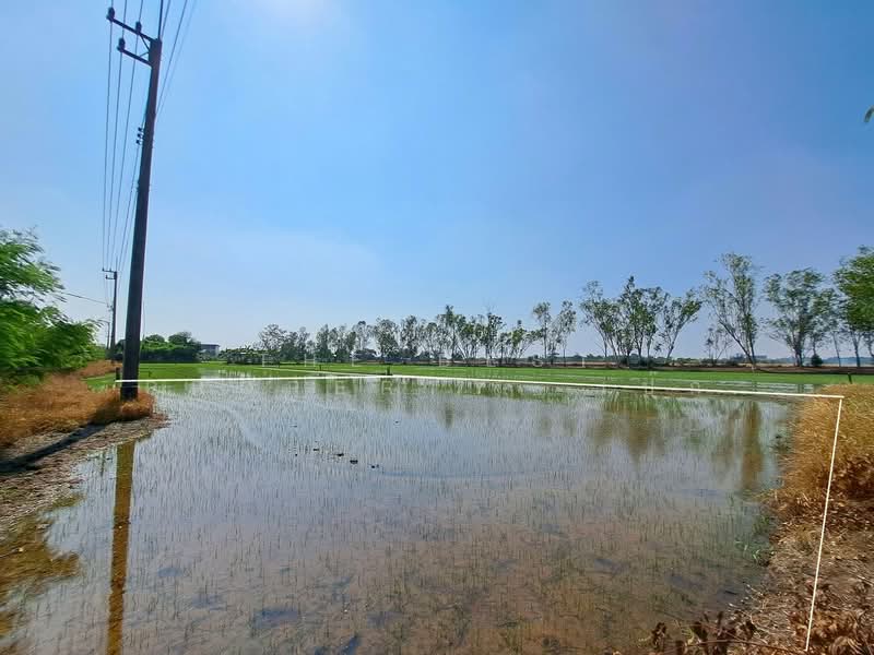 ที่ดินพุทธมณฑล นครปฐม, นครปฐม, คลองโยง, พุทธมณฑล, นครปฐม, 732 ตร.ม., ที่ดิน ขาย, โดย The Best Property  เป๊ก, 500234069 - DDproperty.com