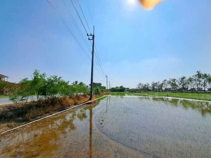 For Sale - ที่ดินพุทธมณฑล นครปฐม, Nakhon Pathom