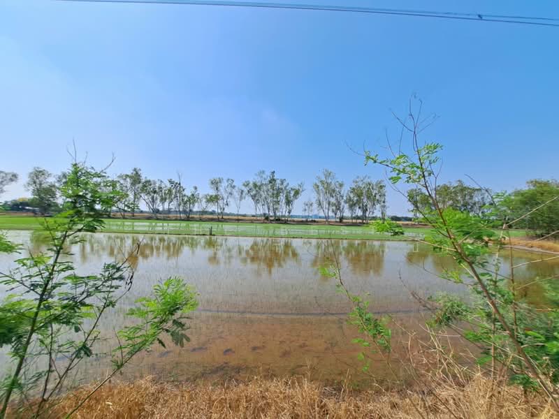 ที่ดินพุทธมณฑล นครปฐม, นครปฐม, คลองโยง, พุทธมณฑล, นครปฐม, 732 ตร.ม., ที่ดิน ขาย, โดย The Best Property  เป๊ก, 500234069 - DDproperty.com