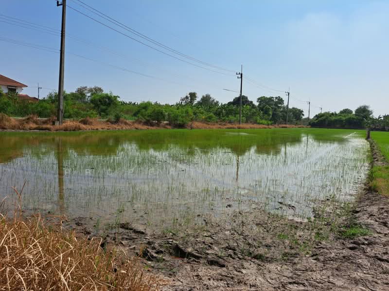 For Sale - ที่ดินพุทธมณฑล นครปฐม, Nakhon Pathom