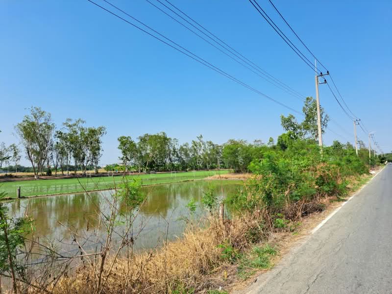 ที่ดินพุทธมณฑล นครปฐม, นครปฐม, คลองโยง, พุทธมณฑล, นครปฐม, 732 ตร.ม., ที่ดิน ขาย, โดย The Best Property  เป๊ก, 500234069 - DDproperty.com