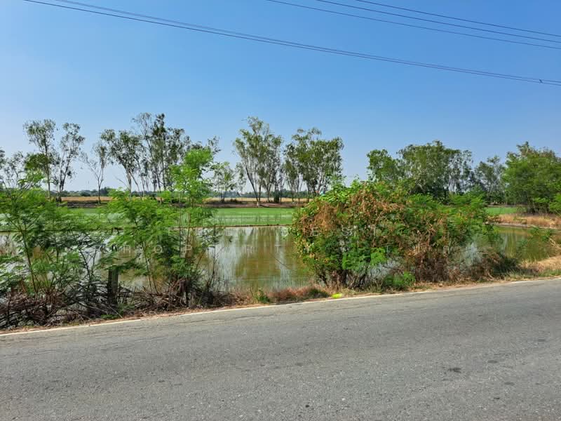 For Sale - ที่ดินพุทธมณฑล นครปฐม, Nakhon Pathom