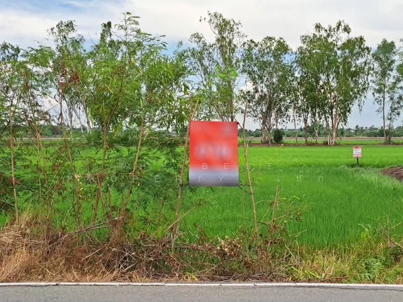 ที่ดินพุทธมณฑล นครปฐม, Nakhon Pathom, Khlong Yong, Phuttha Mon Thon, Nakhon Pathom, , 732 sqm, Land For Sale, by The Best Property เป๊ก, 500234069 - DDproperty.com