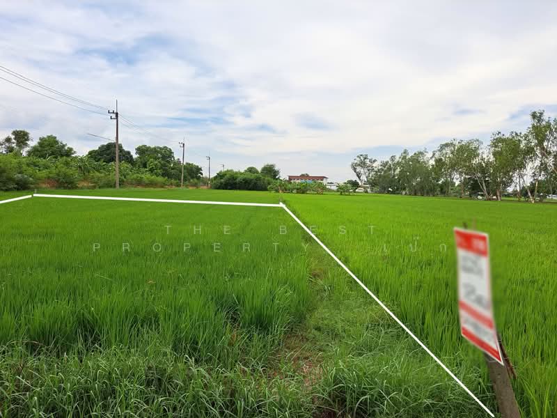 ที่ดินพุทธมณฑล นครปฐม, Nakhon Pathom, Khlong Yong, Phuttha Mon Thon, Nakhon Pathom, , 732 sqm, Land For Sale, by The Best Property เป๊ก, 500234069 - DDproperty.com