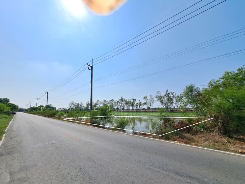 ที่ดินพุทธมณฑล นครปฐม, Nakhon Pathom, Khlong Yong, Phuttha Mon Thon, Nakhon Pathom, , 732 sqm, Land For Sale, by The Best Property เป๊ก, 500234069 - DDproperty.com