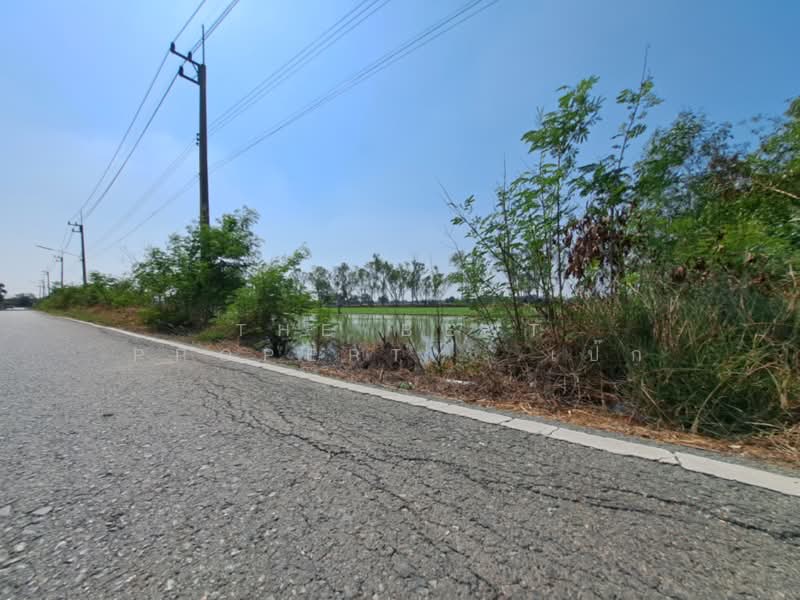 ที่ดินพุทธมณฑล นครปฐม, Nakhon Pathom, Khlong Yong, Phuttha Mon Thon, Nakhon Pathom, , 732 sqm, Land For Sale, by The Best Property เป๊ก, 500234069 - DDproperty.com