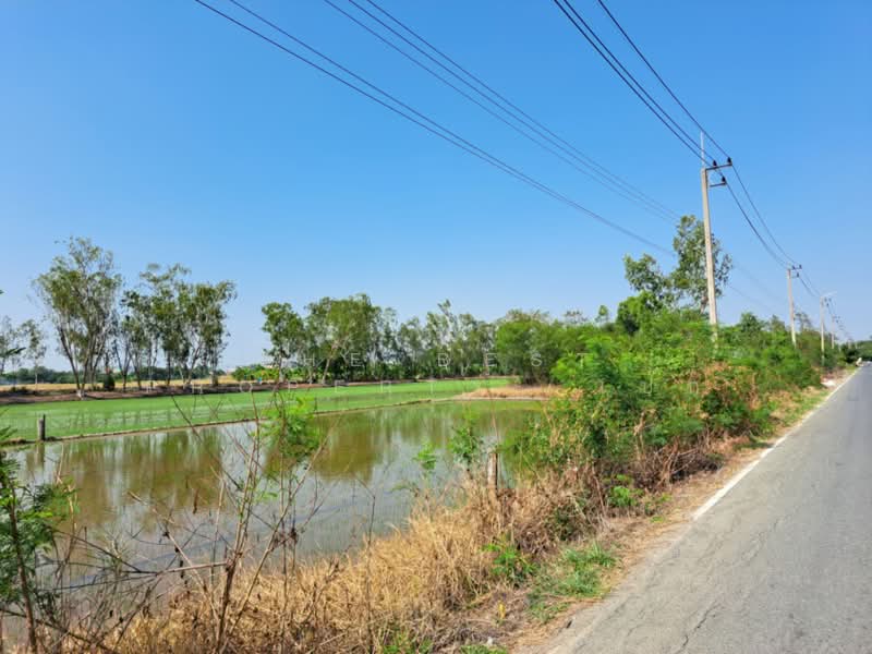 ที่ดินพุทธมณฑล นครปฐม, Nakhon Pathom, Khlong Yong, Phuttha Mon Thon, Nakhon Pathom, , 732 sqm, Land For Sale, by The Best Property เป๊ก, 500234069 - DDproperty.com