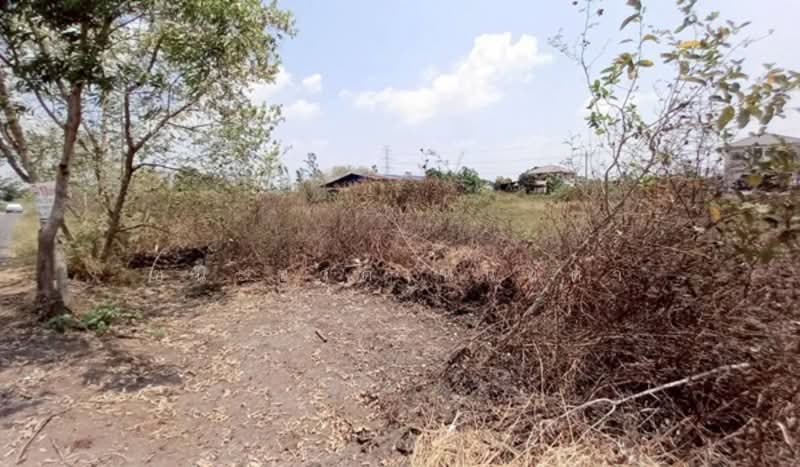 ขาย - ซอยเลียบนารี 59, กรุงเทพ