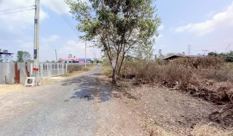 Soi Liap Naree 59, Bangkok, Khok Faed, Nong Chok, Bangkok, , 360 sqm, Land For Sale, by ชนะชาติ นนท์ตา, 500234073 - DDproperty.com