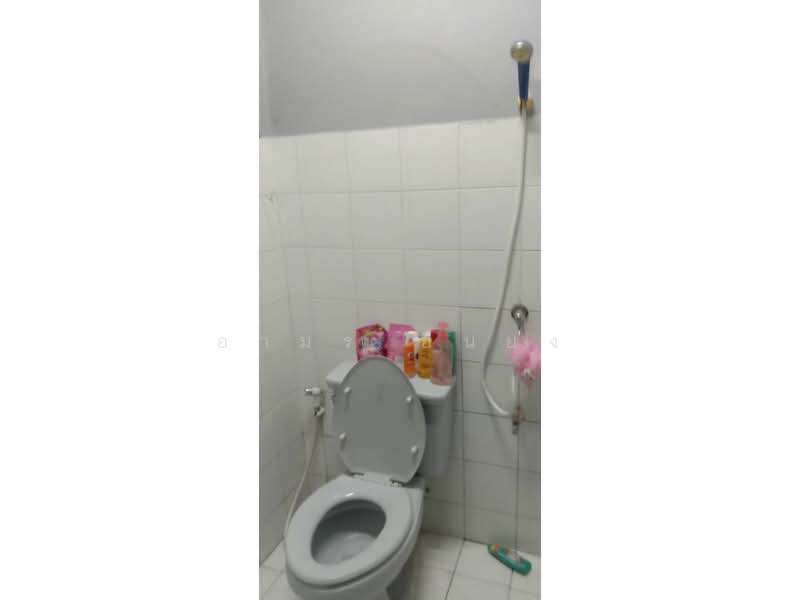 ขาย บ้านเดี่ยว โซนสันป่าตอง, Chiang Mai, San Khang, San Pa Tong, Chiang Mai, 2 Bedrooms, 130 sqm, Single Detached House For Sale, by Armon Yuenyong, 500234086 - DDproperty.com