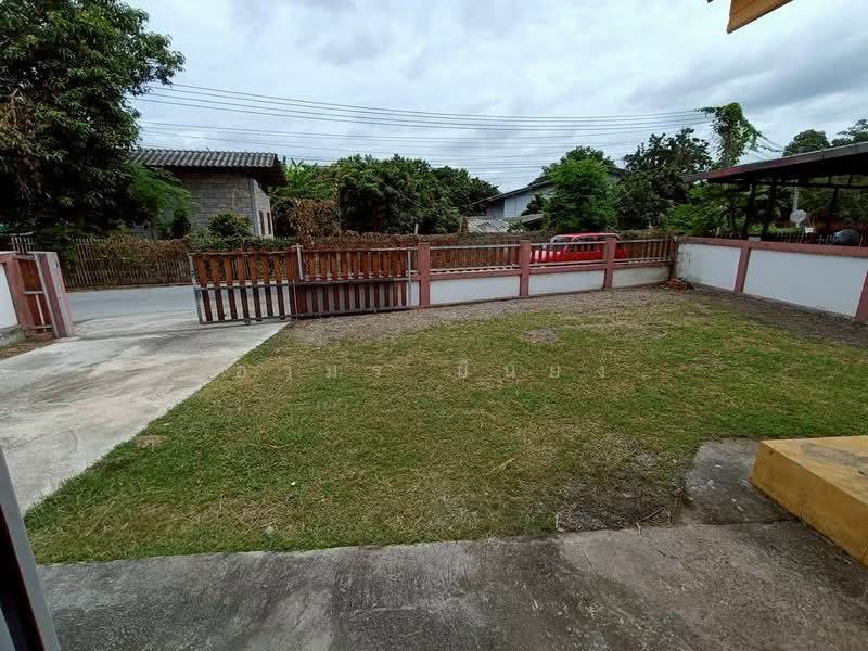 ขาย บ้านเดี่ยว โซนป่าซาง จ.ลำพูน, ลำพูน, นครเจดีย์, ป่าซาง, ลำพูน, 85 ตร.ม., บ้านเดี่ยว ขาย, โดย อามร ยืนยง, 500234094 - DDproperty.com