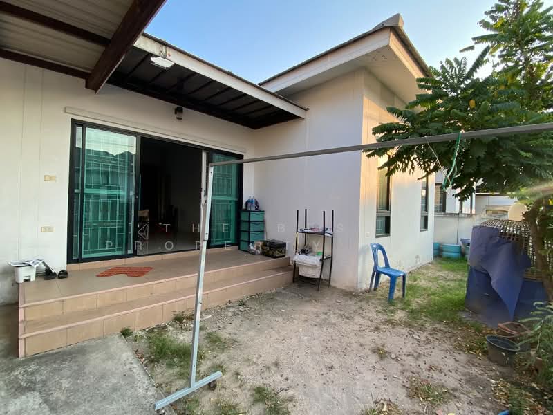 ขาย - Ivy Emperor : ไอวี่ เอ็มเพอร์เรอร์, ชลบุรี