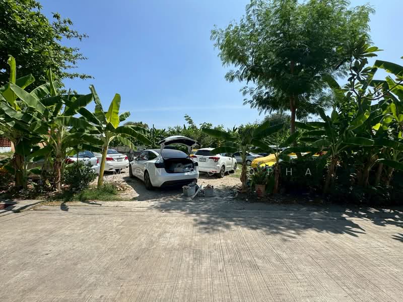 ที่ดินเปล่า โชคชัย4 ซอย49 66 ตรว, Bangkok, Lat Phrao, Lat Phrao, Bangkok, , 264 sqm, Land For Sale, by Vimon Boodpha, 500234169 - DDproperty.com