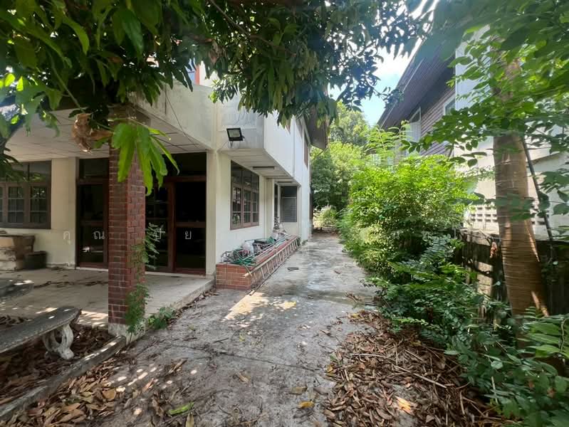 ที่ดิน + สิ่งปลูกสร้าง 2 ชั้น 149 ตร.ว. ซอยพรานนก5 ใกล้แยกไฟฉาย, Bangkok, ถนนจรัญสนิทวงศ์, Bang Khun Non, Bangkok Noi, Bangkok, , 596 sqm, Land For Sale, by คุณ ปิยะพงษ์ อินทโต (ต๊าฟ), 500234197 - DDproperty.com