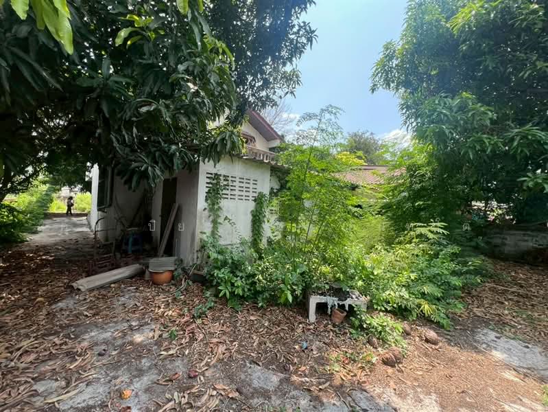 ขาย - ที่ดิน + สิ่งปลูกสร้าง 2 ชั้น 149 ตร.ว. ซอยพรานนก5 ใกล้แยกไฟฉาย, กรุงเทพ