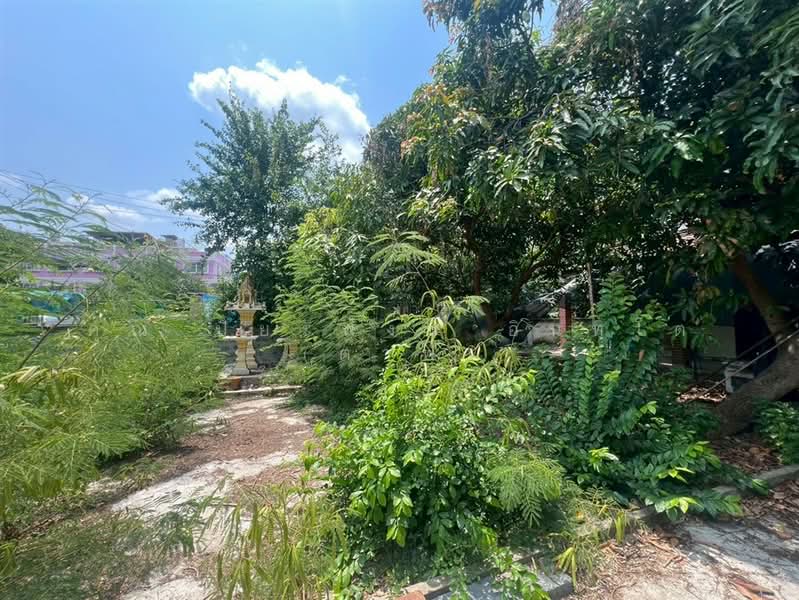 ขาย - ที่ดิน + สิ่งปลูกสร้าง 2 ชั้น 149 ตร.ว. ซอยพรานนก5 ใกล้แยกไฟฉาย, กรุงเทพ