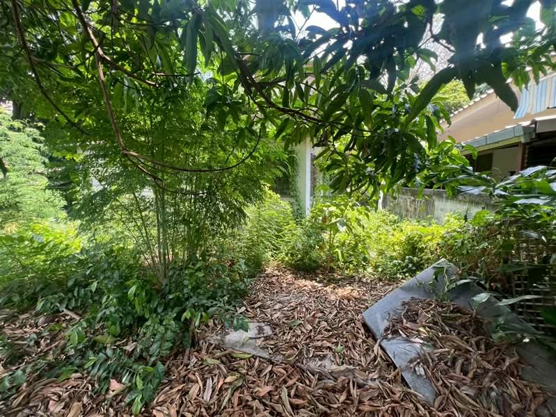 ขาย - ที่ดิน + สิ่งปลูกสร้าง 2 ชั้น 149 ตร.ว. ซอยพรานนก5 ใกล้แยกไฟฉาย, กรุงเทพ