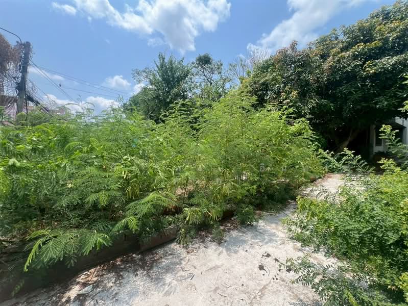 ขาย - ที่ดิน + สิ่งปลูกสร้าง 2 ชั้น 149 ตร.ว. ซอยพรานนก5 ใกล้แยกไฟฉาย, กรุงเทพ