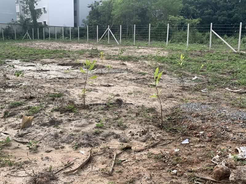 ให้เช่าที่ดินเปล่า ซอยหมู่บ้าน กุลพันธ์วิลล์โครงการ 6, เชียงใหม่, ซอยหมู่บ้านกุลพันธ์วิลล์โครงการ6, แม่เหียะ, เมืองเชียงใหม่, เชียงใหม่, 1,788 ตร.ม., ที่ดิน ให้เช่า, โดย Anukoon Kruwanna, 500234247 - DDproperty.com