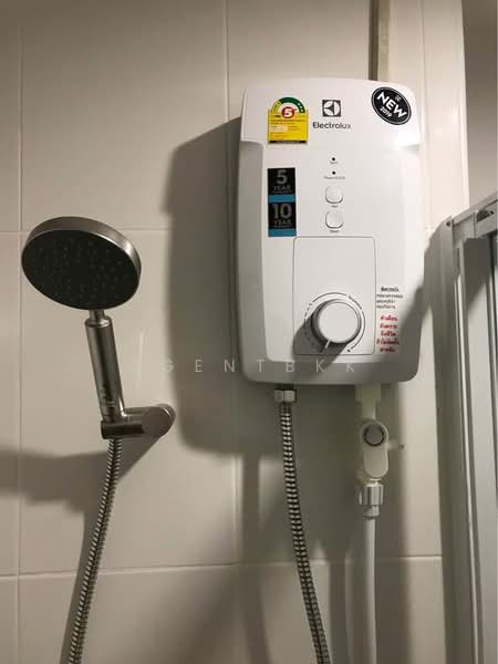 Regent Home Sukhumvit 97/1, Bangkok, Soi Sukhumvit 97/1, Bang Chak, Phra Khanong, Bangkok, 1 Bedroom, 29 sqm, Condo For Rent, by Agentbkk, 500234265 - DDproperty.com