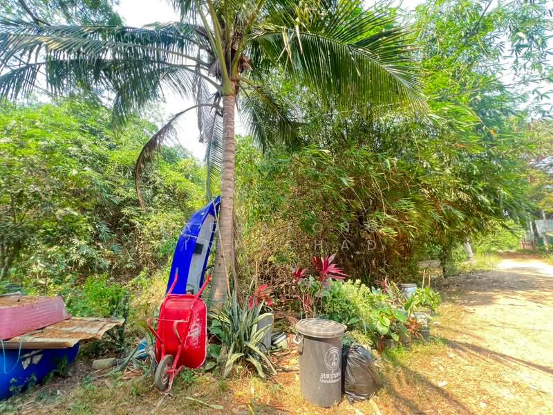 ขาย - บ้านเดี่ยว 2 ชั้น 42 ตร.ว. ครึ่งปูนครึ่งไม้สัก สภาพดี จ.สิงห์บุรี, สิงห์บุรี