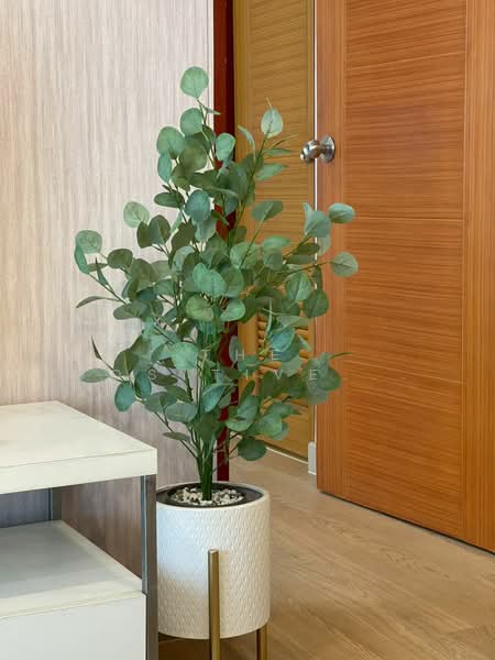 Casa Condo, Chiang Mai, Chang Phuak, Muang Chiang Mai, Chiang Mai, 1 Bedroom, 40 sqm, Condo For Sale, by The Positive ที่ดิน บ้าน คอนโด, 500234323 - DDproperty.com