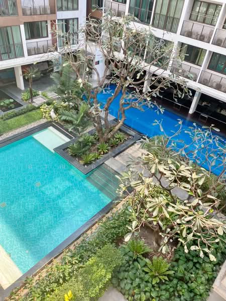 IDEO Blucove Sathorn : ไอดีโอ บลูโคฟ สาทร, กรุงเทพ, 11 ซอยสารภี 3 ถนนกรุงธนบุรี, คลองต้นไทร, คลองสาน, กรุงเทพ, 35 ตร.ม., คอนโด ให้เช่า, โดย อรุณ อเนกคุณะ, 500234344 - DDproperty.com