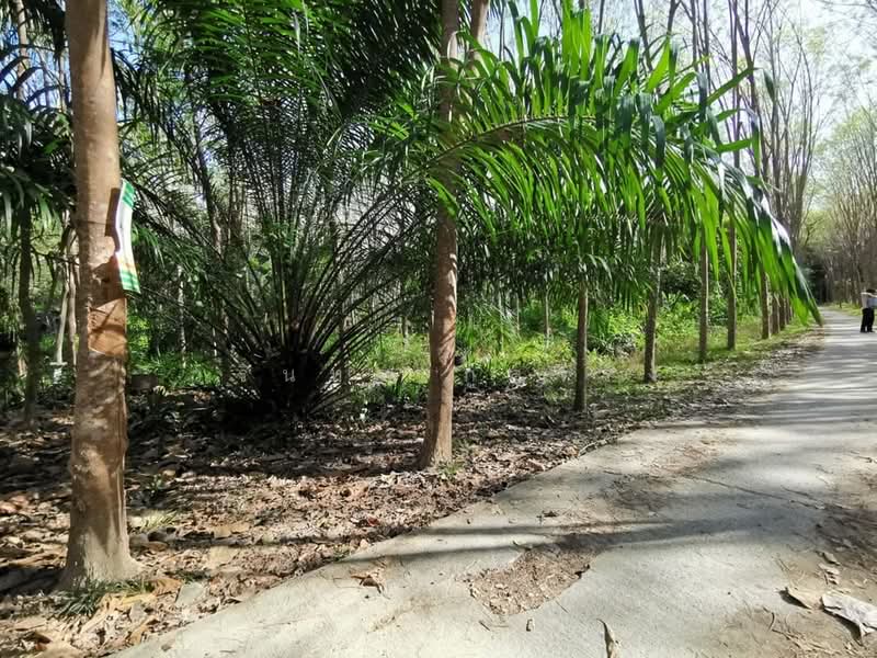 เกาะลันตา, Krabi, สายเกาะปอ, Ko Lanta Yai, Ko Lanta, Krabi, , 18,228 sqm, Business For Sale, by วรินทร กูลจีรัง, 500234361 - DDproperty.com