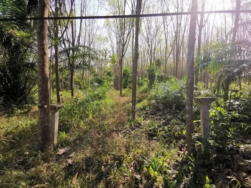 เกาะลันตา, Krabi, สายเกาะปอ, Ko Lanta Yai, Ko Lanta, Krabi, , 18,228 sqm, Business For Sale, by วรินทร กูลจีรัง, 500234361 - DDproperty.com