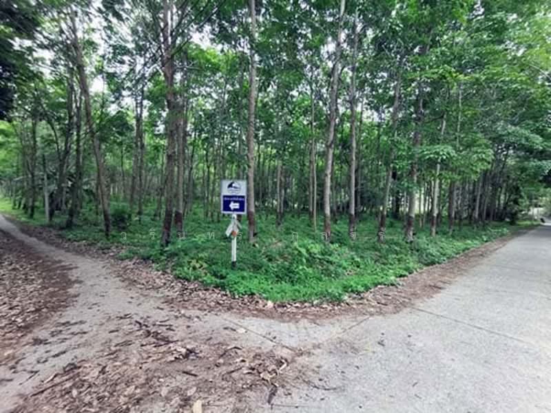 เกาะลันตา, Krabi, สายเกาะปอ, Ko Lanta Yai, Ko Lanta, Krabi, , 18,228 sqm, Business For Sale, by วรินทร กูลจีรัง, 500234361 - DDproperty.com