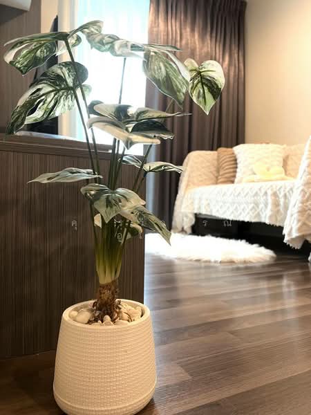 Living Nest Ramkhamhaeng, Bangkok, 845 Ramkhamhaeng Road, Hua Mak, Bang Kapi, Bangkok, 2 Bedrooms, 47 sqm, Condo For Rent, by คุณรวีวรรณ อู่เงิน, 500234385 - DDproperty.com