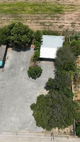 For Sale - ขายที่ดิน 200 ตรว.พร้อมสิ่งปลูกสร้าง หนองยายบู่ ศรีราชา, Chon Buri (Pattaya)