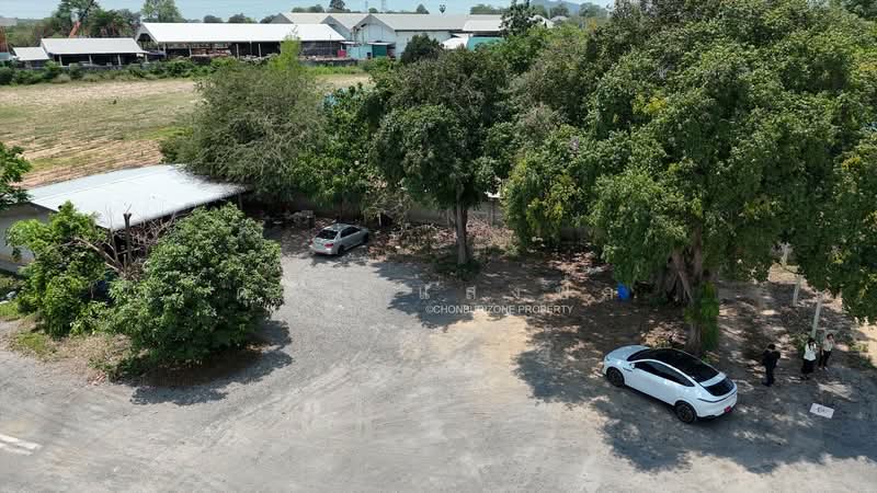 For Sale - ขายที่ดิน 200 ตรว.พร้อมสิ่งปลูกสร้าง หนองยายบู่ ศรีราชา, Chon Buri (Pattaya)