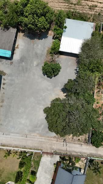 For Sale - ขายที่ดิน 200 ตรว.พร้อมสิ่งปลูกสร้าง หนองยายบู่ ศรีราชา, Chon Buri (Pattaya)